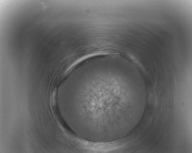 X0000082710026200702021431