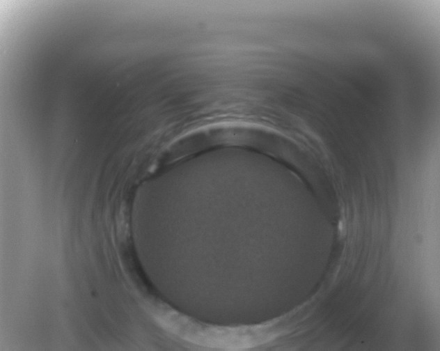 X0000082710029200702021431