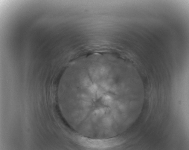 X0000082710030200702021431