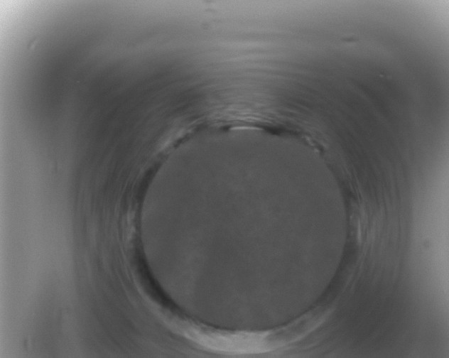 X0000082710032200702021431