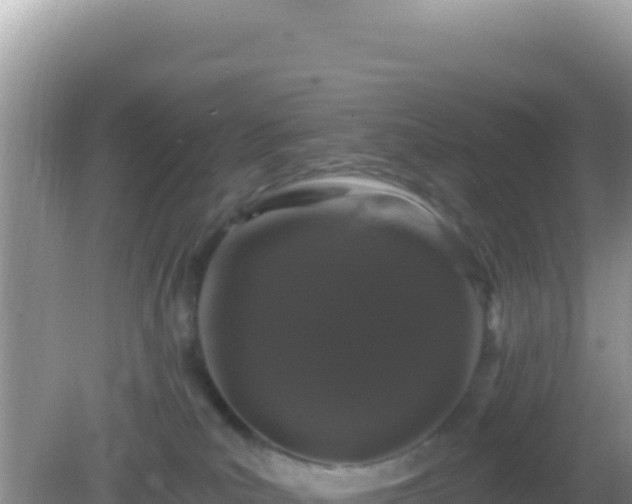 X0000082710039200702021430