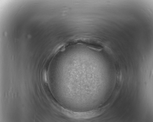 X0000082710046200702021430