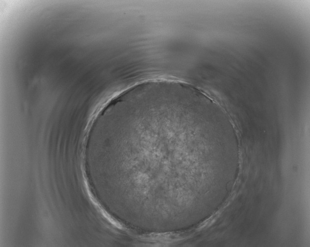 X0000082710049200702021429