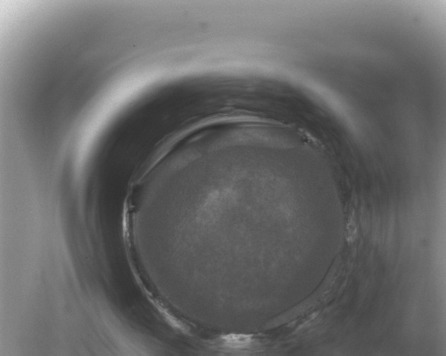 X0000082710052200702021429