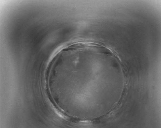 X0000082710053200702021430