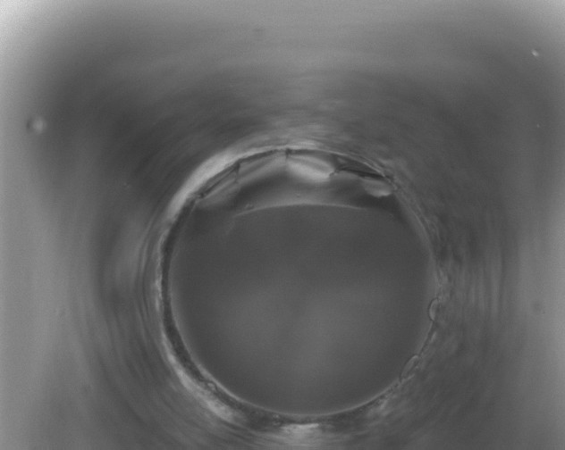 X0000082710054200702021430