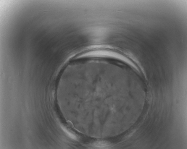 X0000082710063200702021430