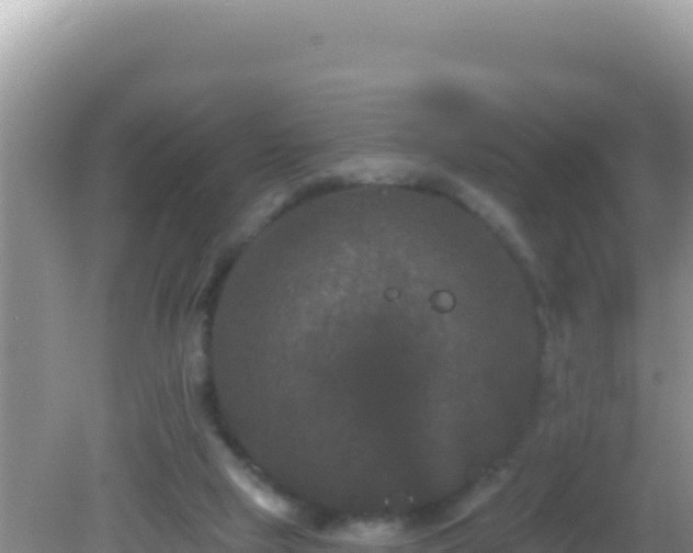 X0000082710065200702021430