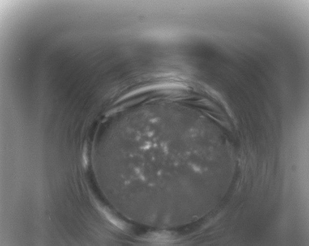 X0000082710069200702021430