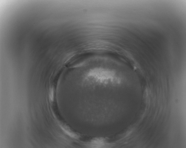 X0000082710076200702021430