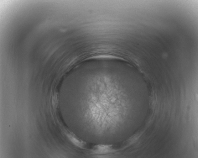 X0000082710093200702021430