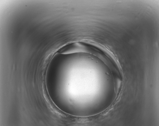 X0000082710097200702021429