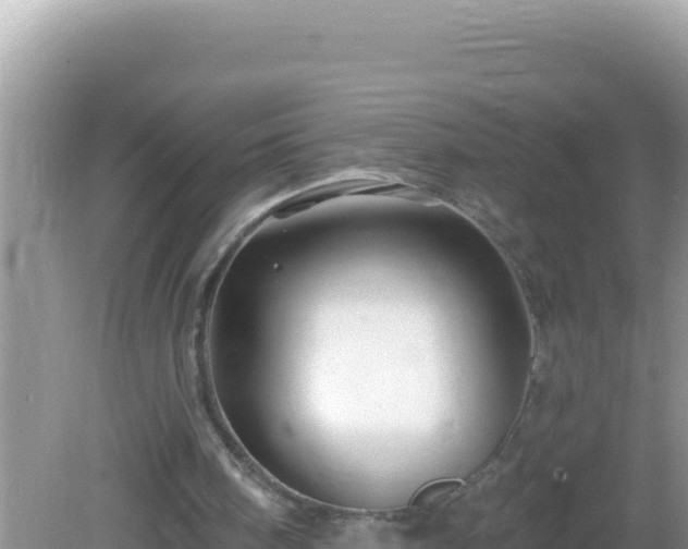 X0000082710098200702021429