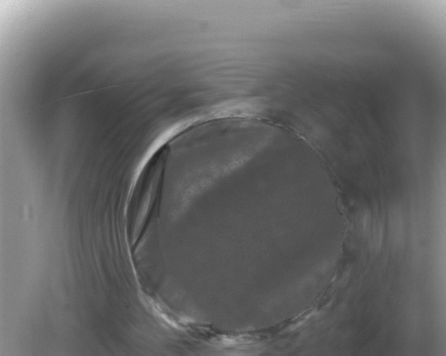 X0000082710100200702021429