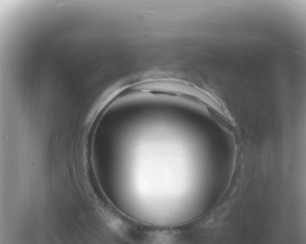 X0000082710103200702021429