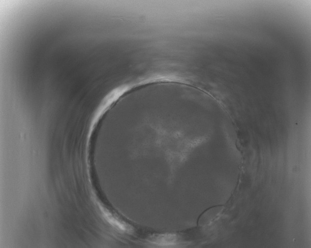 X0000082710104200702021429