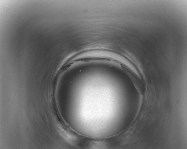 X0000082710107200702021429