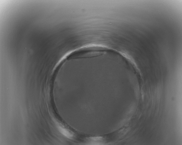 X0000082710108200702021429