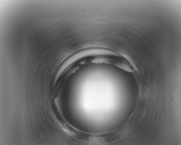 X0000082710109200702021429