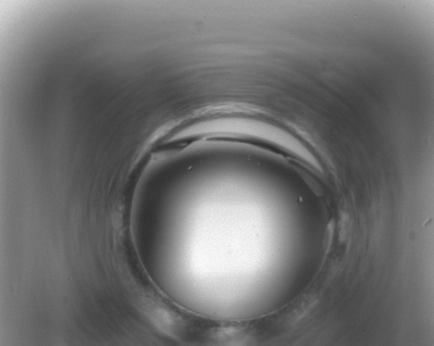 X0000082710111200702021429