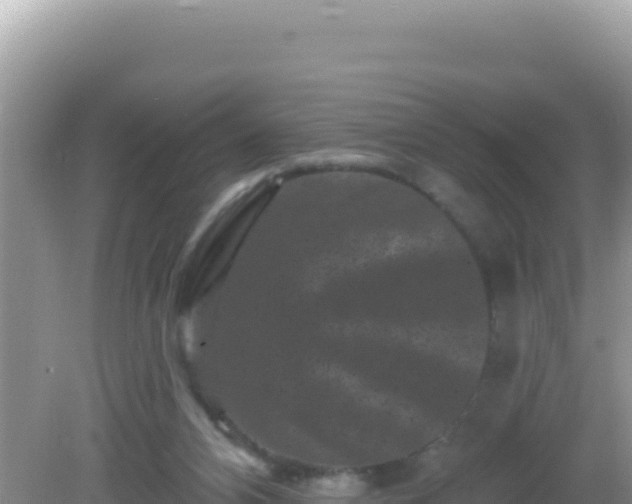 X0000082710112200702021429