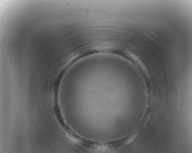 X0000082710113200702021429