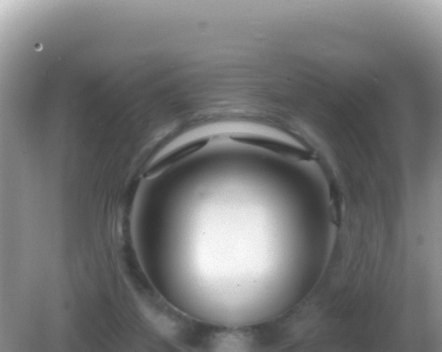 X0000082710115200702021429