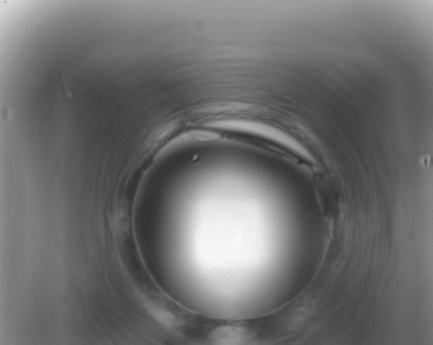 X0000082710119200702021429