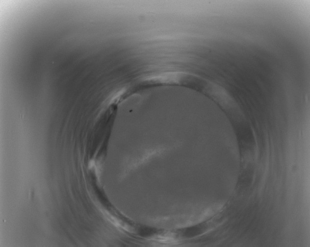 X0000082710120200702021429