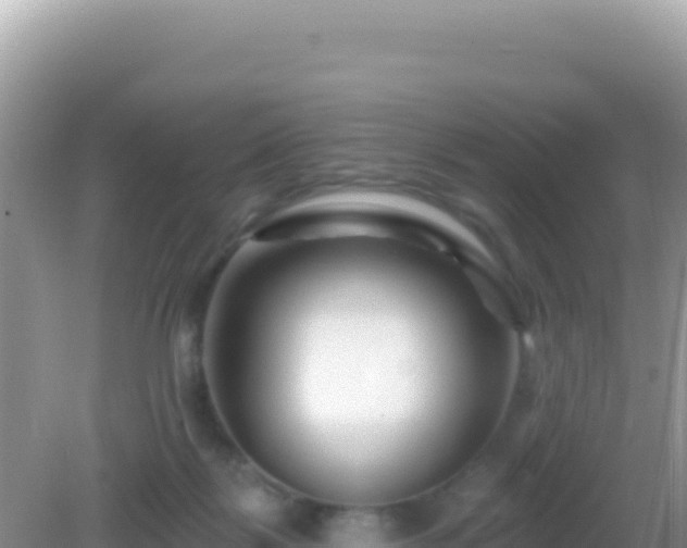 X0000082710123200702021429