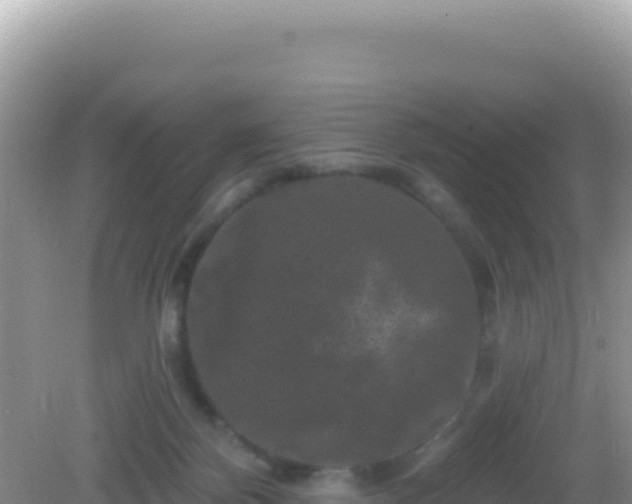 X0000082710124200702021429