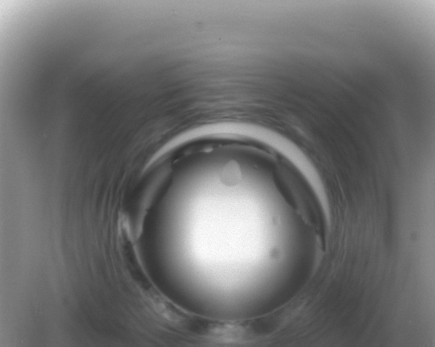 X0000082710125200702021429