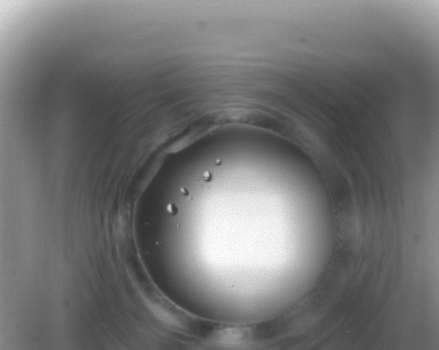 X0000082710126200702021429