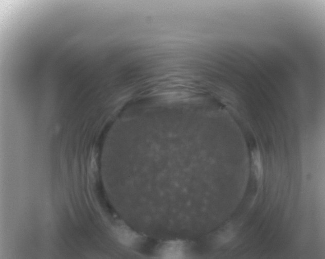 X0000082710127200702021429