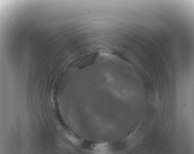 X0000082710132200702021429