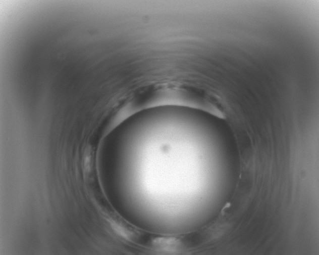 X0000082710133200702021429