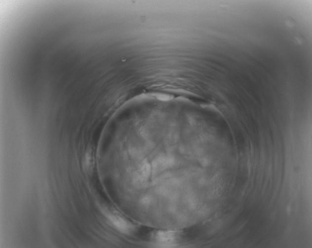 X0000082710134200702021429