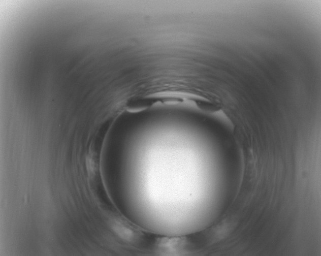 X0000082710135200702021429