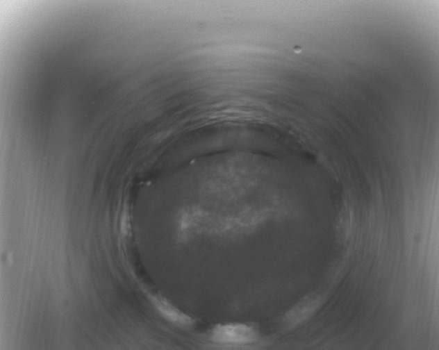 X0000082710137200702021429