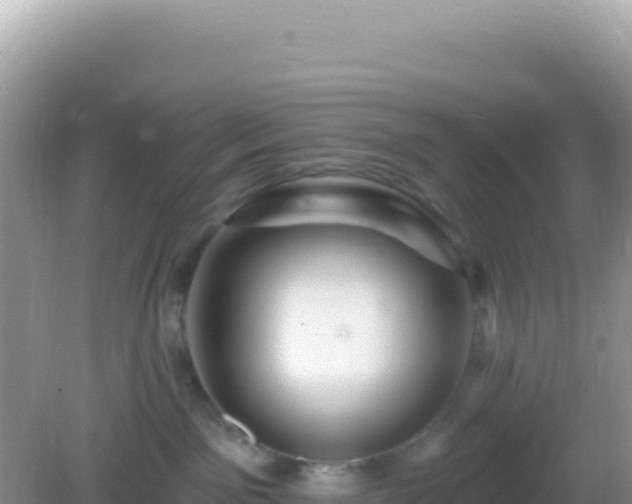 X0000082710141200702021429