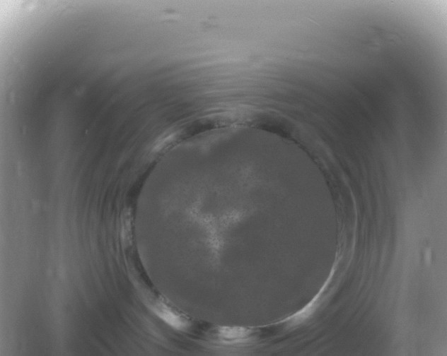 X0000082710144200702021429