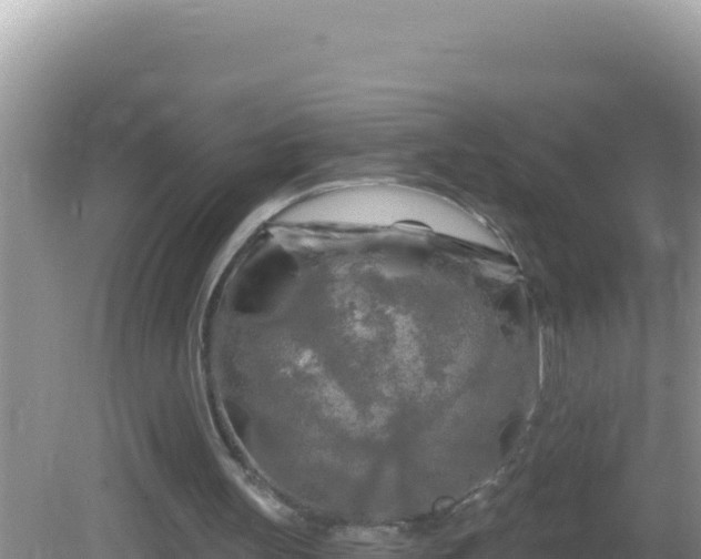 X0000082710147200702021428