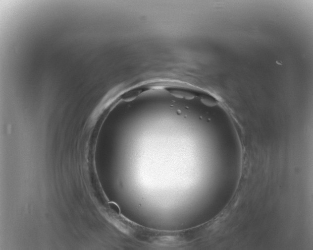 X0000082710151200702021428