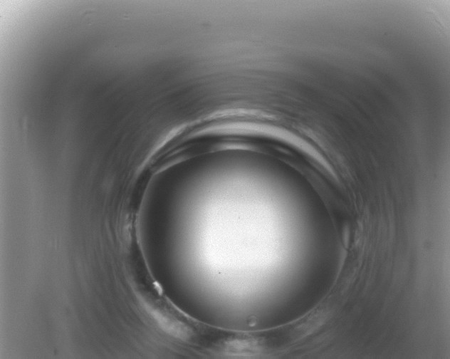 X0000082710160200702021428