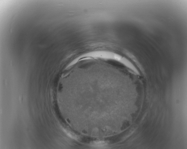 X0000082710161200702021428