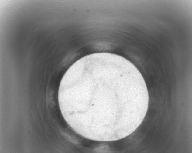 X0000082710162200702021428