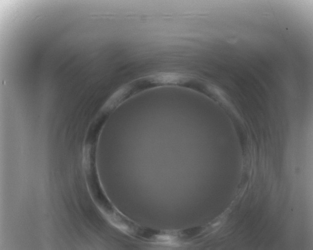 X0000082710167200702021428