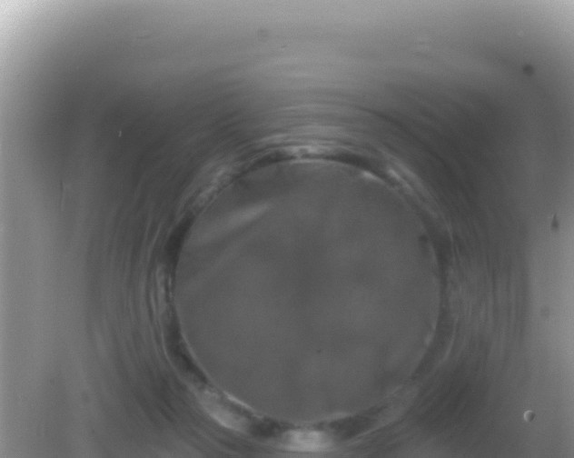 X0000082710169200702021428