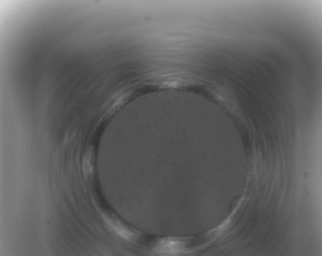 X0000082710174200702021428