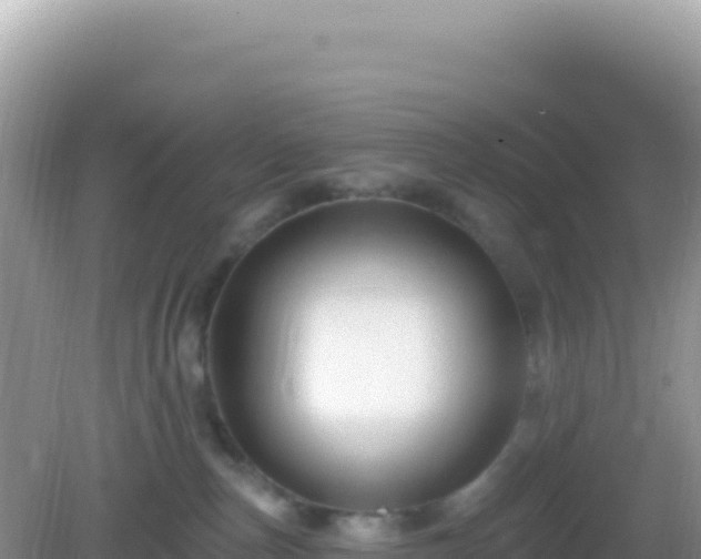 X0000082710187200702021429